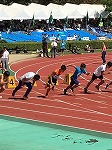 z-181008_siminorinpikku (15).jpg